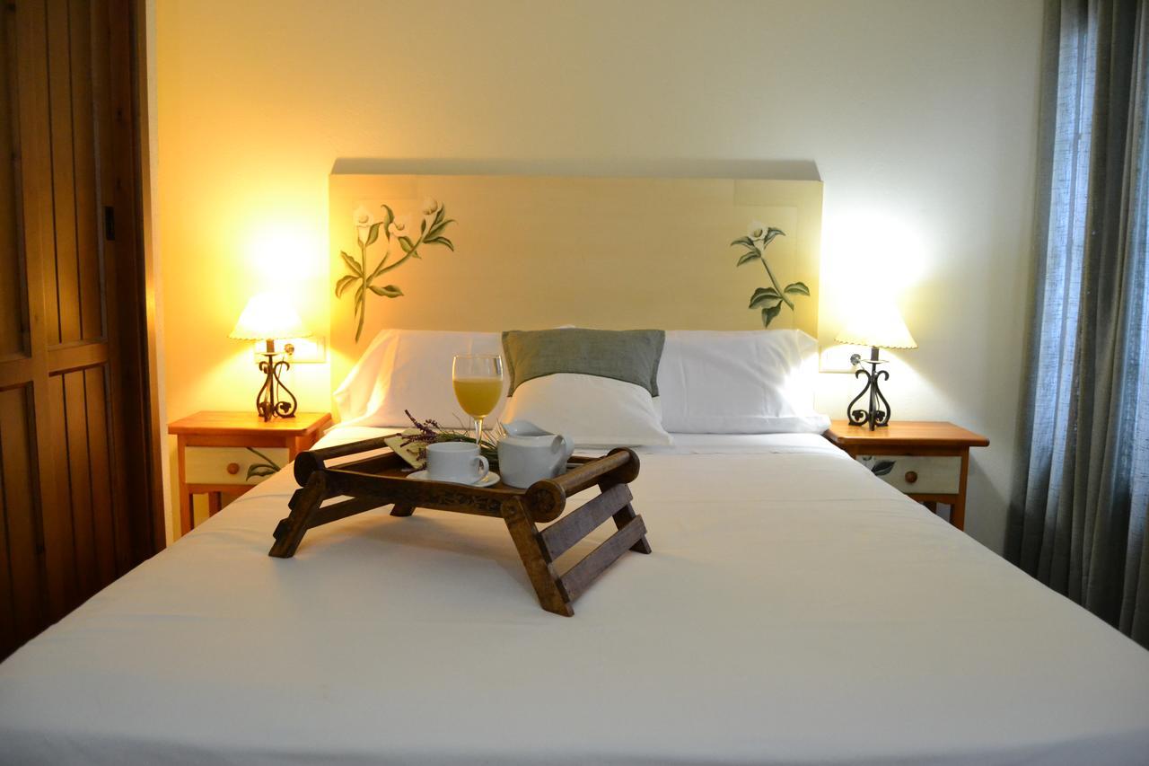 Hostal Toribio 加拉罗萨 外观 照片